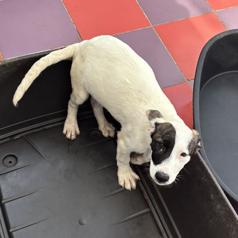 247651