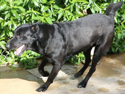 251339