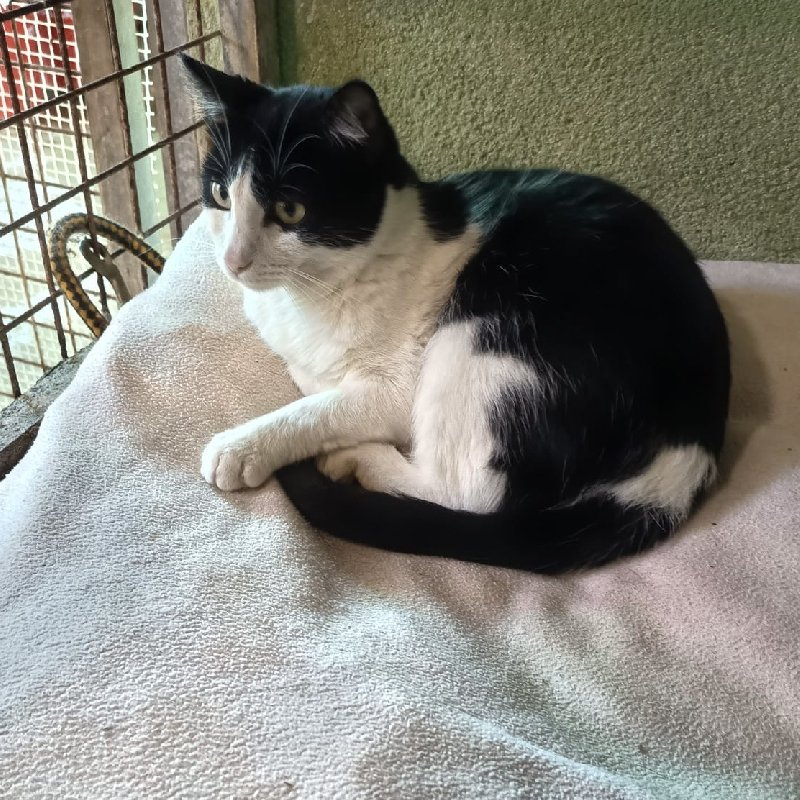 261073