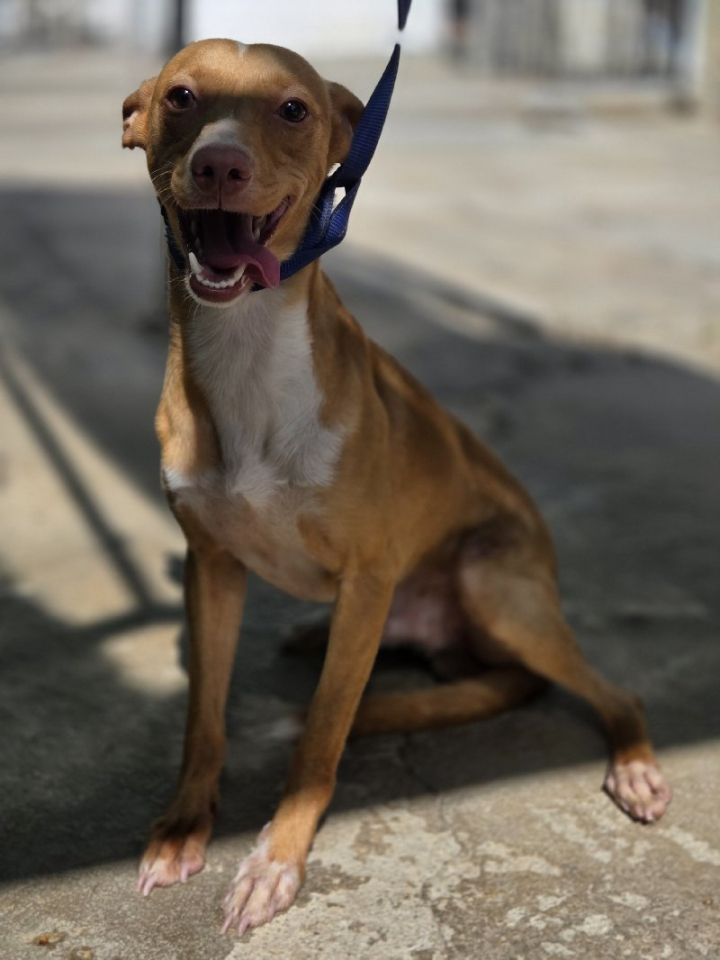 261513